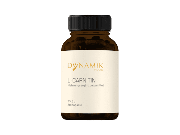 L-Carnitin von Dynamik Plus