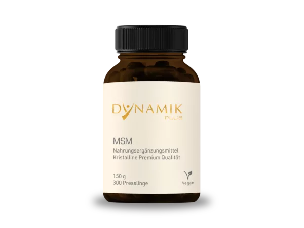 MSM von DYNAMIK PLUS